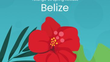 get-more-out-of-successblocs-and-apis