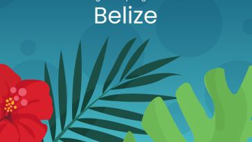 totango-offers-more-ways-to-stay-aligned-with-your-team-and-customers