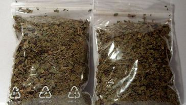 white-vein-indo-kratom