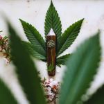 everything-we-enjoy-about-cbd-oil-and-its-benefits