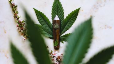 everything-we-enjoy-about-cbd-oil-and-its-benefits