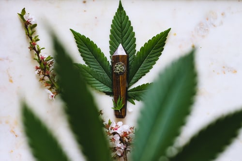 everything-we-enjoy-about-cbd-oil-and-its-benefits
