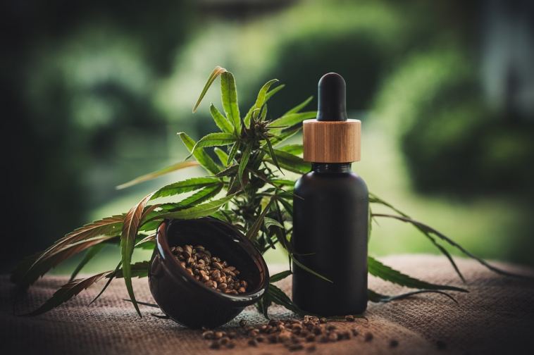answering-your-questions-about-cbd